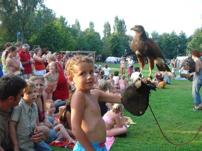 dc-2008-0185 tim, roofvogelshow (30-07-2008)